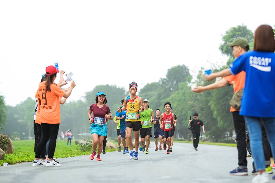 Mục kích đường chạy marathon Hoa vàng trên cỏ xanh Ecopark